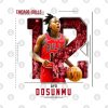 Ayo Dosunmu Basketball Edit Bulls Mug Official Basketball Gifts Merch